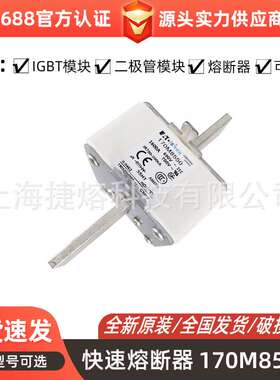 170M8550  170M8554D  快速熔断器  保险丝 电子元器件 量大价优