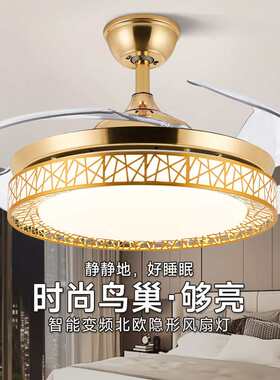 吊扇灯52寸鸟巢隐形扇客厅简约黑白色卧室吊灯智能餐厅风扇灯