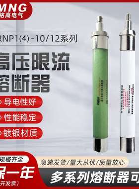XRNP4-12KV/0.5A-50KA带螺高压限流熔断器PT互感器保护用高压熔管