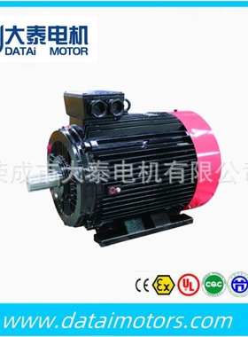 威海大泰华力众泰电机厂家跨境出口YE4全铜4极55kw卧式马达电机