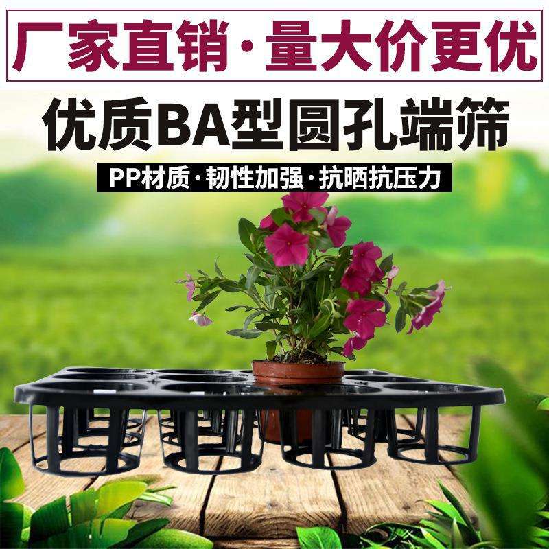 兰花蝴蝶兰托盘营养杯周转盘托盘3.5寸5寸蝴蝶兰种植盘兰花育苗盘