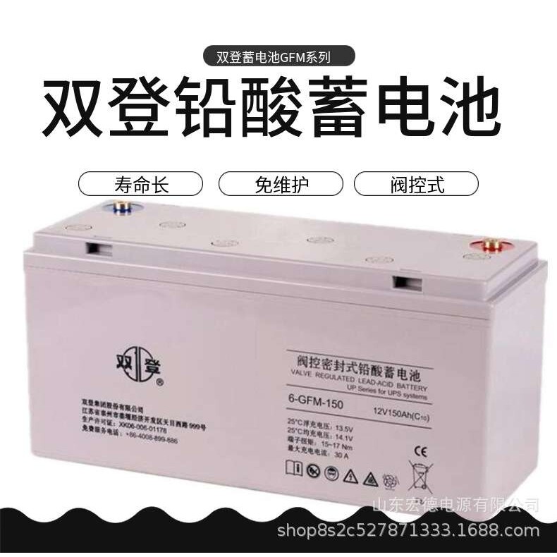 双登蓄电池12V100AH 双登6-GFM-100蓄电池 电瓶 质保三年
