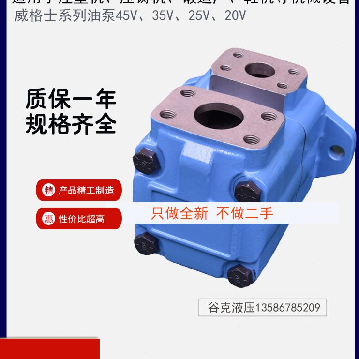 25v21海天25122V叶片泵机c液压油芯泵30泵力劲压铸-A注塑机ra-
