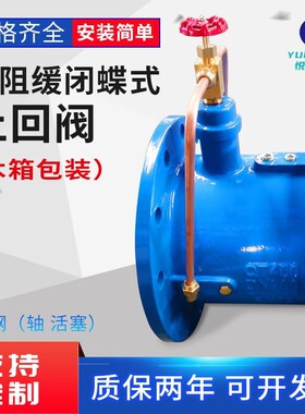HH48X 49X微阻缓闭蝶式止回阀 防水锤铸铁 消声缓闭止回阀DN50100