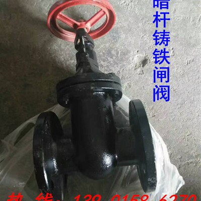 Z45T/W-10铸铁暗杆法兰闸阀DN100 125 150 200 250 300 350 400