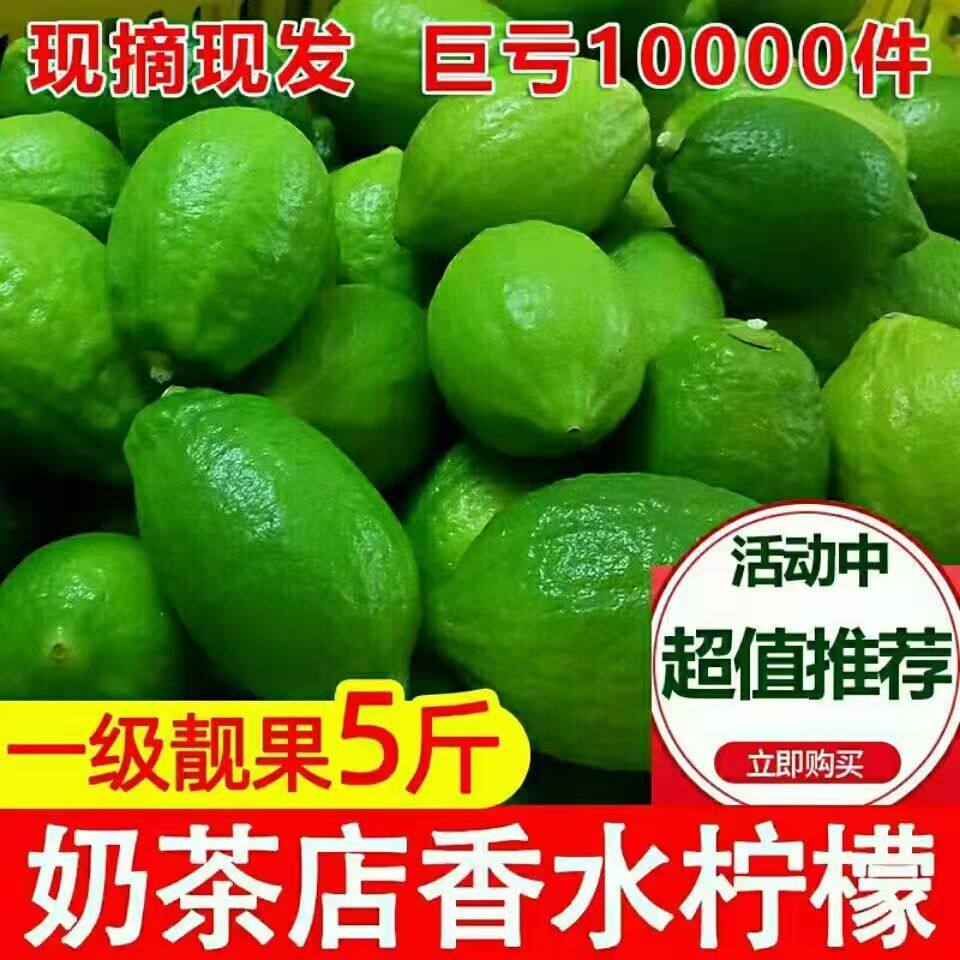 广东香水柠檬5斤包邮奶茶店专用一级果皮厚香水果新鲜无籽青柠檬