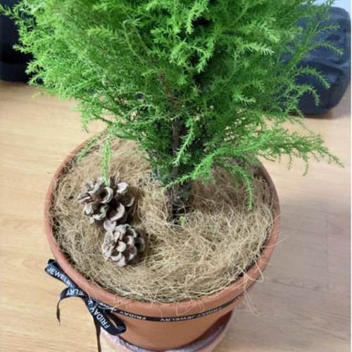 建材管材填充护土墙砖椰棕纤维丝泥土防草椰丝花盆填充降解材料