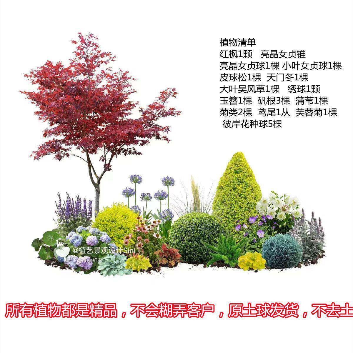 大型植物软装造景庭院花草装饰酒店餐厅角落园景套装仿真芦苇草堆