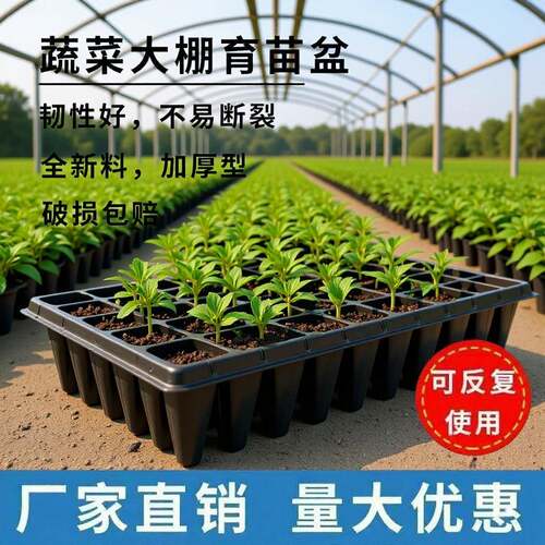 菜苗育苗盘种菜专用托盘育苗杯辣椒玉米穴盘草莓育苗盘整箱