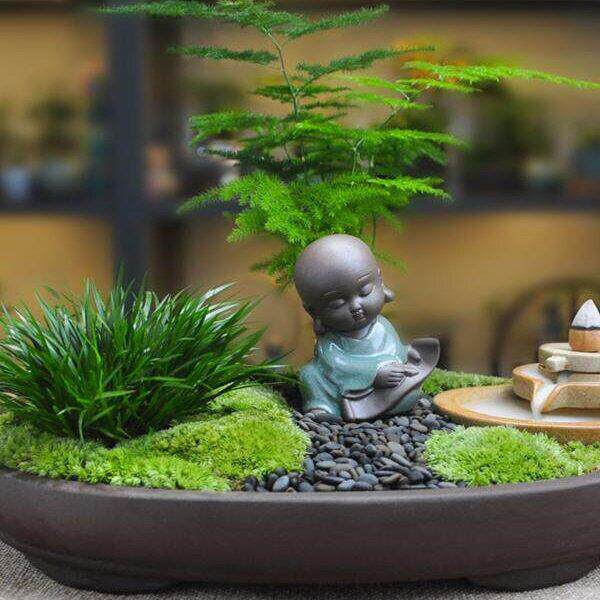 苔藓微景观植物虎须小盆栽文竹公桌面摆件创意好养茶桌盆景含盆