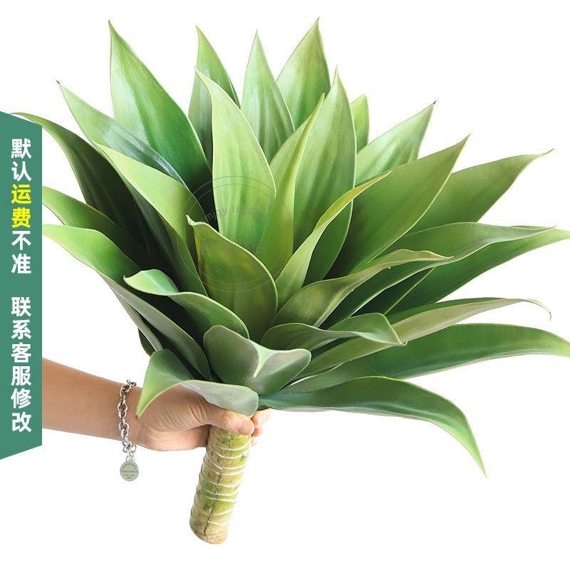 源头厂家真龙舌兰沙生植物造景橱窗景观仿真绿植假植物