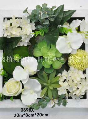 高仿多肉植物069款乡村墙面装饰热带植物相框 木质相框客厅植物壁