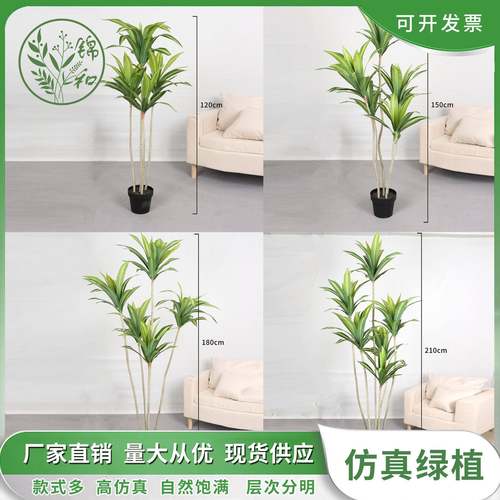 高端仿真巴西木假植物落地装饰绿植盆栽室内家居摆件橱窗植物造景