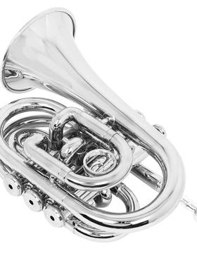 SLADE雷德手掌号降B调漆银微型小号手掌号做工精细专业小号乐器