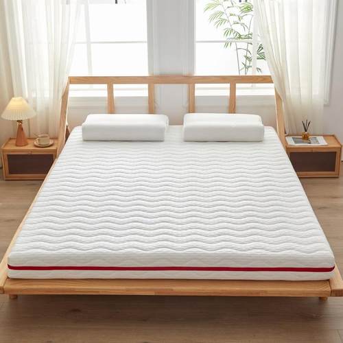 床垫家用软垫租房专用地铺睡垫宿舍学生单人可拆洗床褥垫折叠垫被