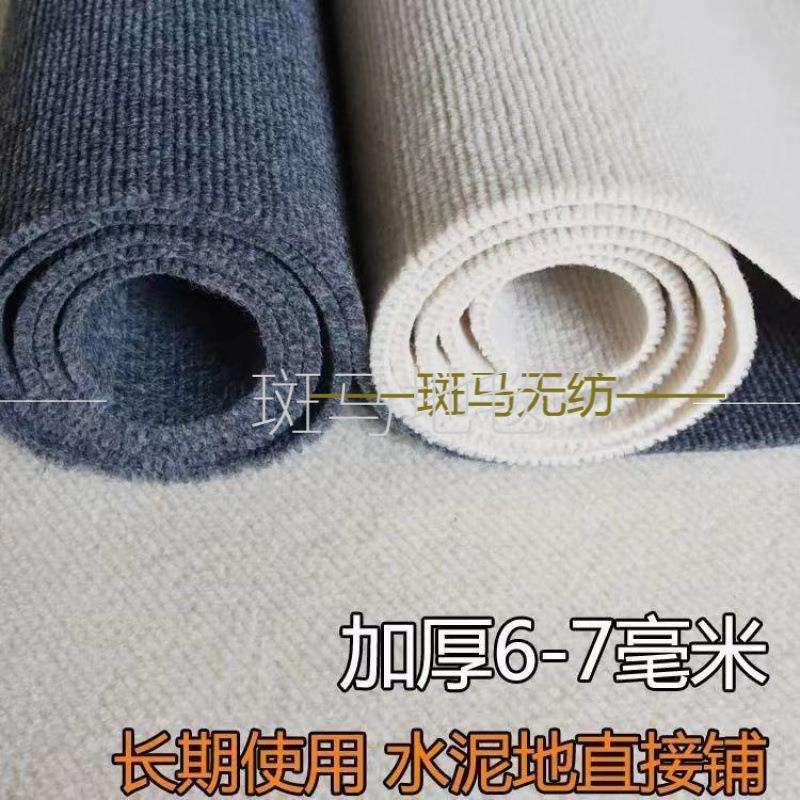 新款加厚地毯家用耐磨办公室客厅网红直播间隔音专用大面积可剪裁
