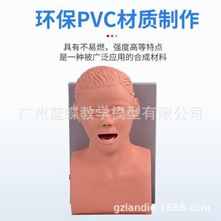 成人电子人体气管插管训练模型带牙齿受压报警口鼻咽气道管理训练