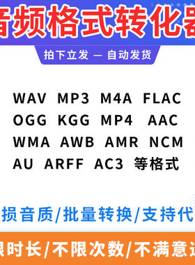 音频影片格式转换ncm flac kgm ogg m4a kgg mp4转mp3音乐转换器
