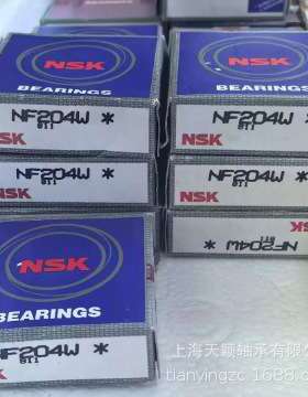 NSK轴承 NSK NF204 NF204W NF205 NF206 NF207 NF208W恩斯凯轴承