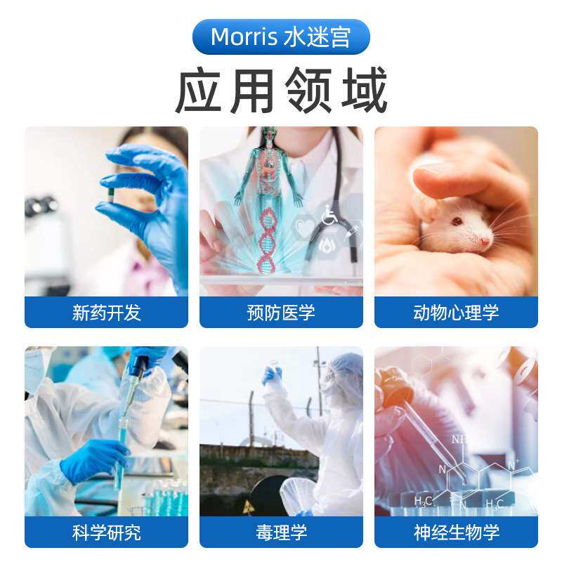 水迷宫实验小动物大鼠小鼠O型Y型T型多重Morris水迷宫分析系统
