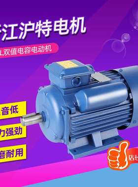 浙江沪特电机YL系列双值电容单相异步电动机22kw30kw厂家直供