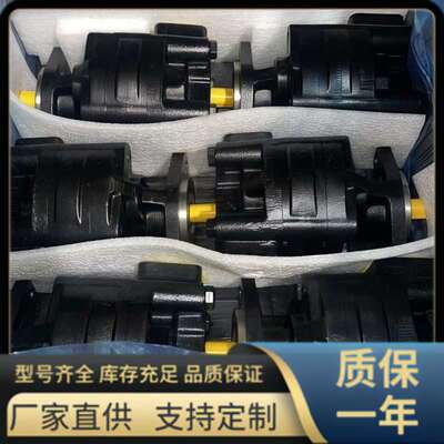 KP20.11.2 系列 凯斯帕齿轮泵,国产 CASAPPA型 液压泵
