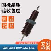 户外10KV高压穿墙瓷套管CWWCWB 12kv200 4000A可做630A1000A3150A