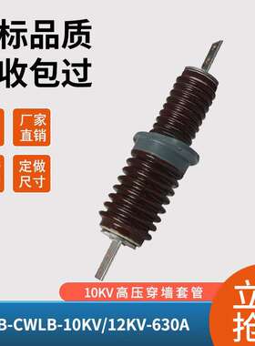 户外10KV高压穿墙瓷套管CWWCWB-12kv200-4000A可做630A1000A3150A