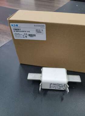 170M3817快速熔断器 690V 315A 巴斯曼BUSSMANN快速熔断器