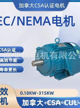 有CSA/ csa认证电机 60HZ480V575V出口加拿大的电机
