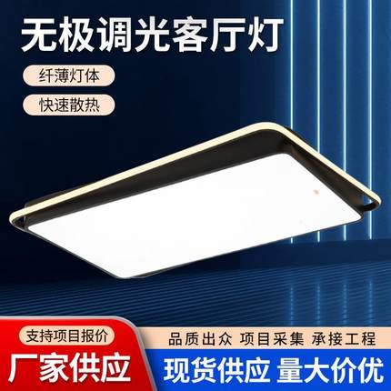 LED吸顶灯客厅灯简约现代大气北欧轻奢大厅灯2024年新款家用灯具