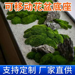 室内长条盆景盆花盆长方形造景盆微景观托盘苔藓底盘长形花器简约