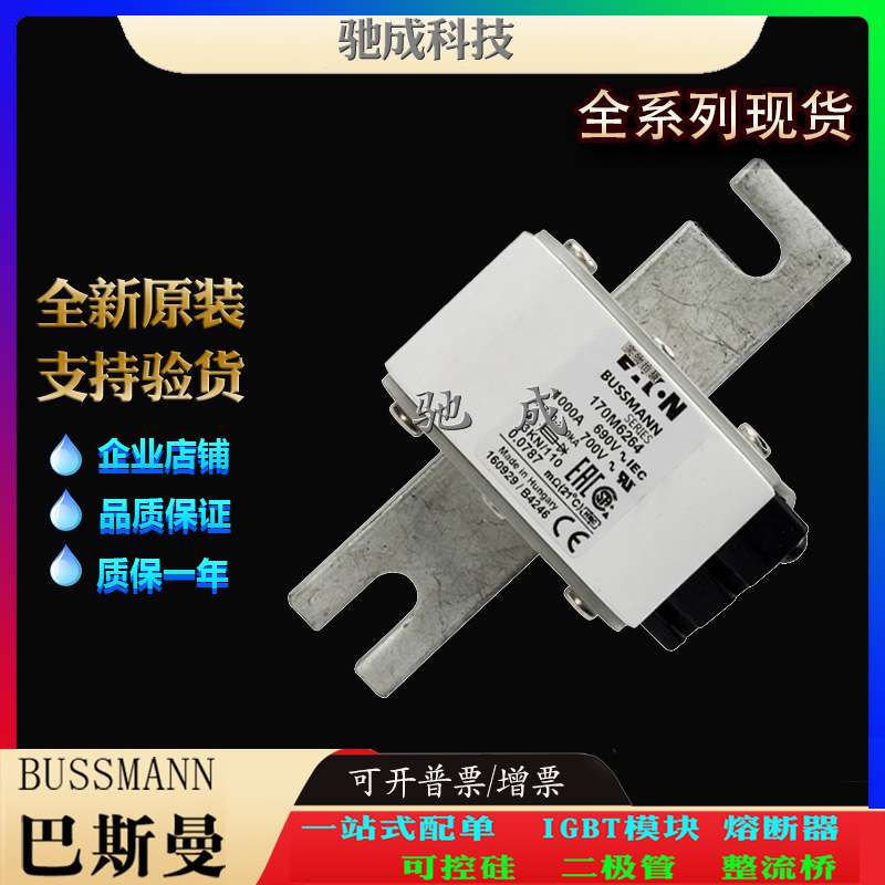 巴斯曼170M6262 170M6263 170M6264 大量现货厂价销售 快熔保险丝