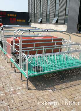 母猪产床厂家欧式复合板养殖BMC母猪分娩床现货双体连体母猪产床