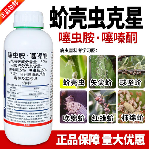 蚧壳虫杀虫剂噻虫胺·噻嗪酮