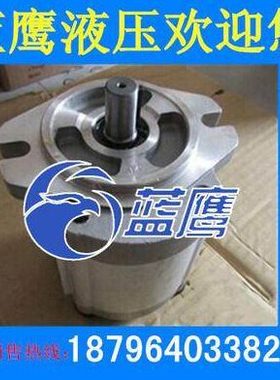 RGP-F306R/F308R/F310R/R312R/314R/F316R/F320R/F325R齿轮油泵RN