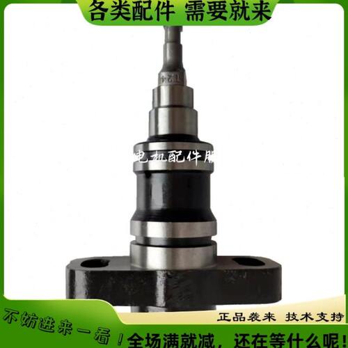 BQ系列吊兰柱塞柴油大泵油嘴出油阀偶件汽车转向助力泵