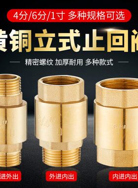 内外/全铜丝6分水管止回阀4流立式1逆止单向阀寸双止回阀阀ppr