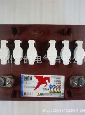 贵阳Trojan邱健蓄电池T-1275PLUS6V315AH鼎力 JLG Genie专用