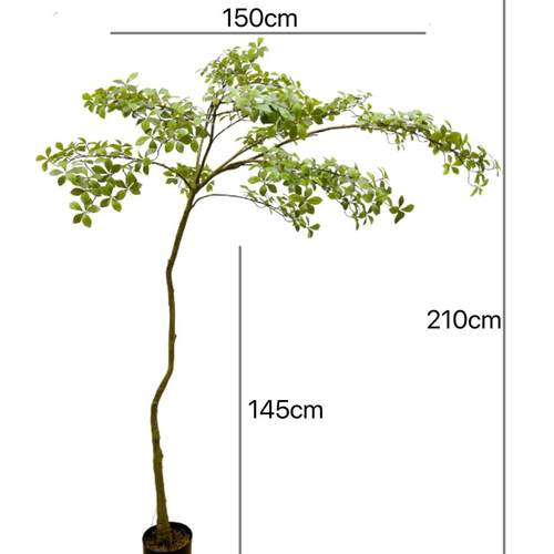 含阳 仿真绿植树 榄仁树 室外园林造景家居装饰 橱窗大厅摄影派件