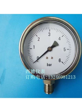 100MM直立式0-6bar (巴)全不锈钢压力表,耐高温压力表