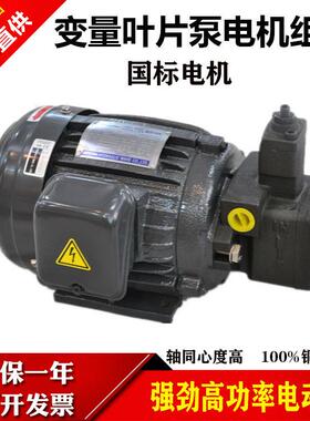 液压电机油泵组合0.75KW/1.5KW/2.2KW配VP20/30/40叶片泵电动总成