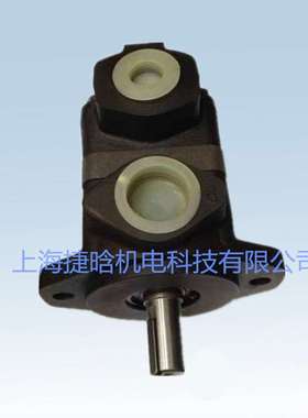 供应V10-P1S-1C20-R叶片泵 V10 V20电动铸铁叶片泵