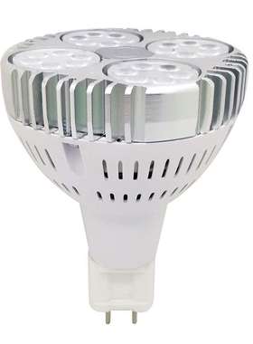 深圳工厂LED射灯PAR30 G12灯头35w LEDPAR30帕泡G12par灯