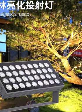 LED景观投射灯户外照树灯72W108W144W200W庭院别墅防水七彩投光灯