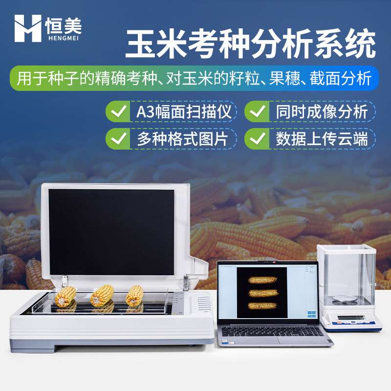 玉米考种分析系统自动玉米籽粒整穗截面快速分析胚尖数量千粒重仪