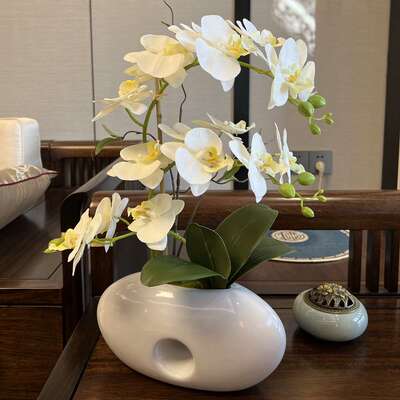 仿真花蝴蝶兰盆栽 假花套装 过胶手感绢布花客厅装饰摆件厂家