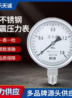 全不锈钢耐震压力表YTHN-100 0～40Bar 1.6级 3/8BSP 表头充硅油