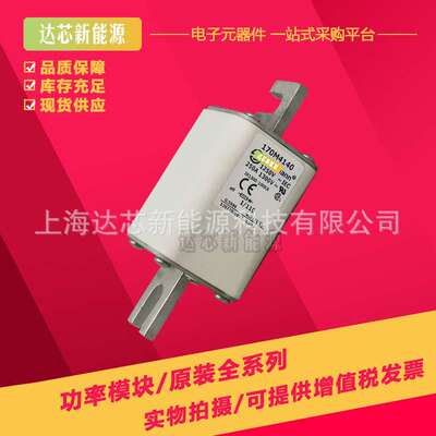 170M4008 170M4009 170M4010 170M4011 170M4012 170M4013熔断器