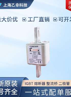 巴斯曼熔断器  170M4144 170M4145 170M4146 170M4147 170M4158